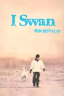 赵一龙