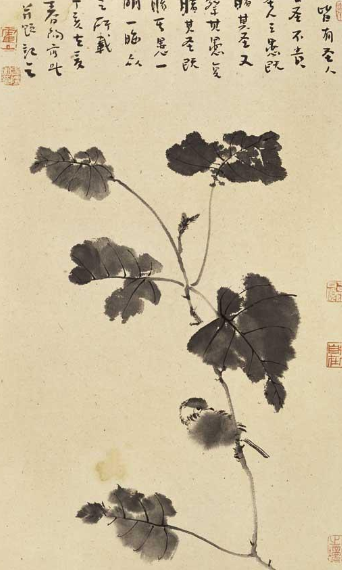霍春阳