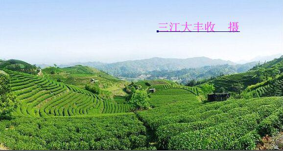 八江镇