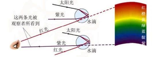 3e779392eea9230d37c1cd3599e3281.png