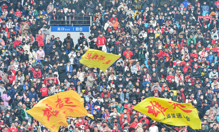 成都蓉城足球俱乐部.png