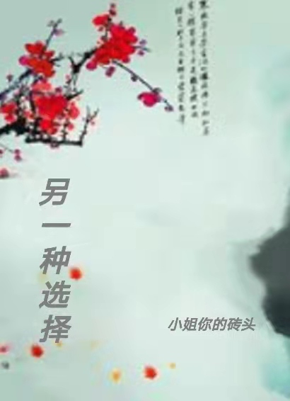 另一种选择