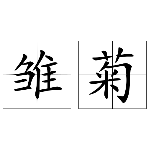 雏菊