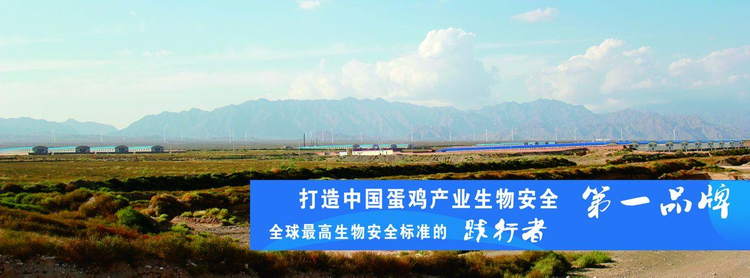 宁夏晓鸣农牧股份有限公司