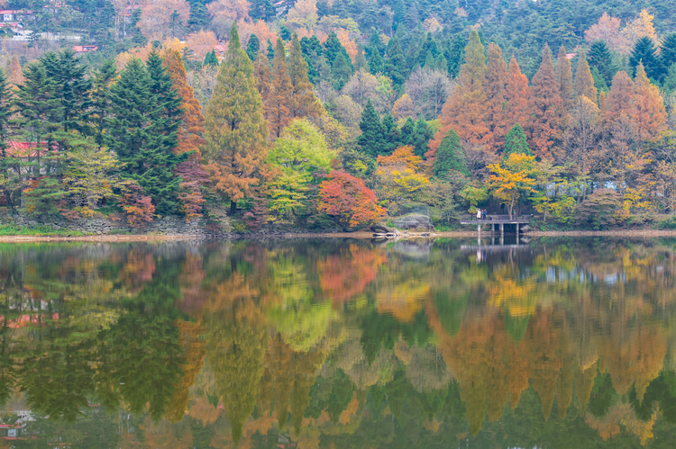 江西九江庐山5A风景区深秋风光