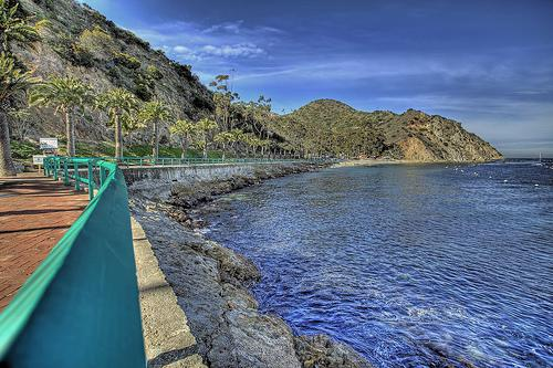 卡塔琳娜岛沙滩