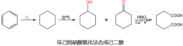 环己烷氧化法.png
