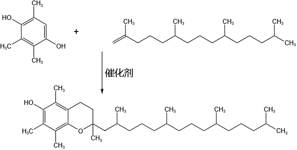 合成路径.png