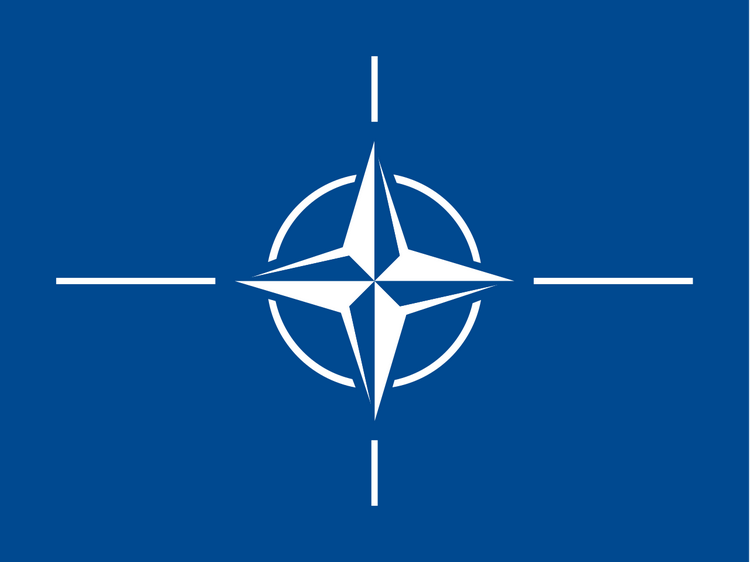北大西洋公约组织