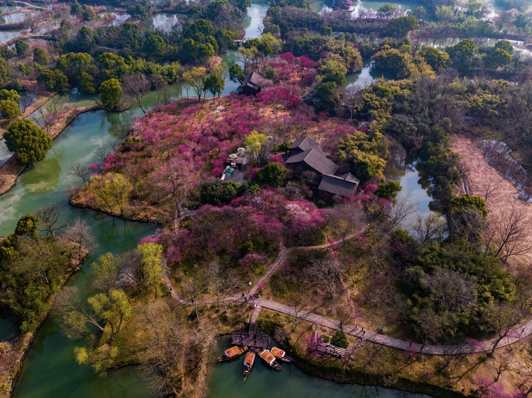 西溪湿地梅墅春季航拍图