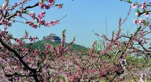 邳州市