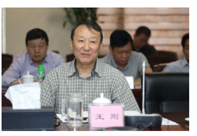 王刚