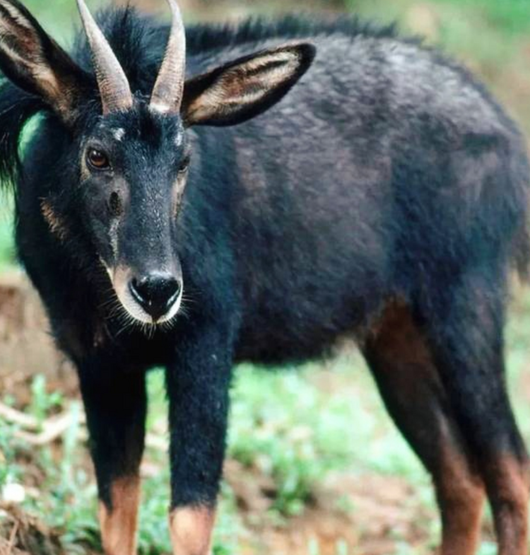 螢幕截圖 2023-11-01 19.57.png