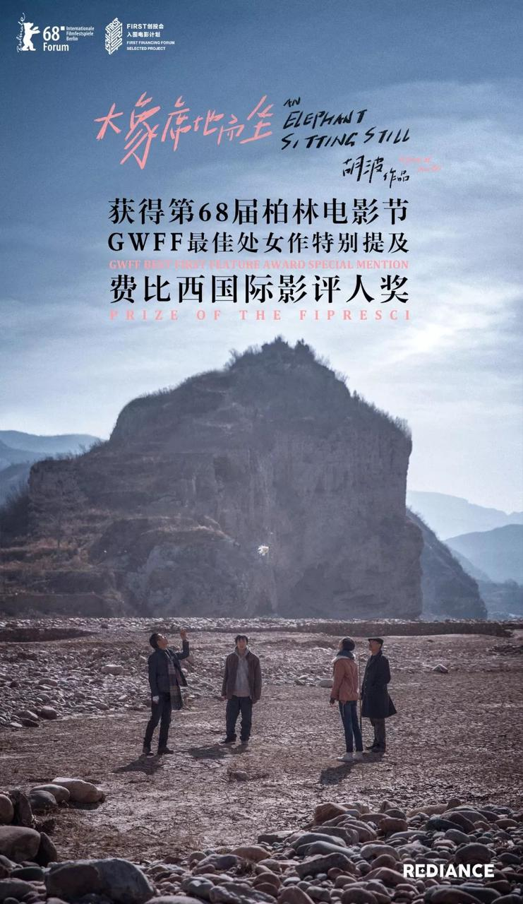 大象席地而坐