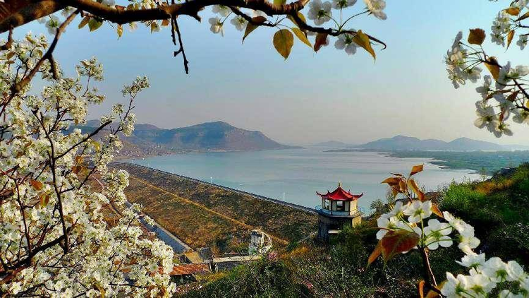 费县