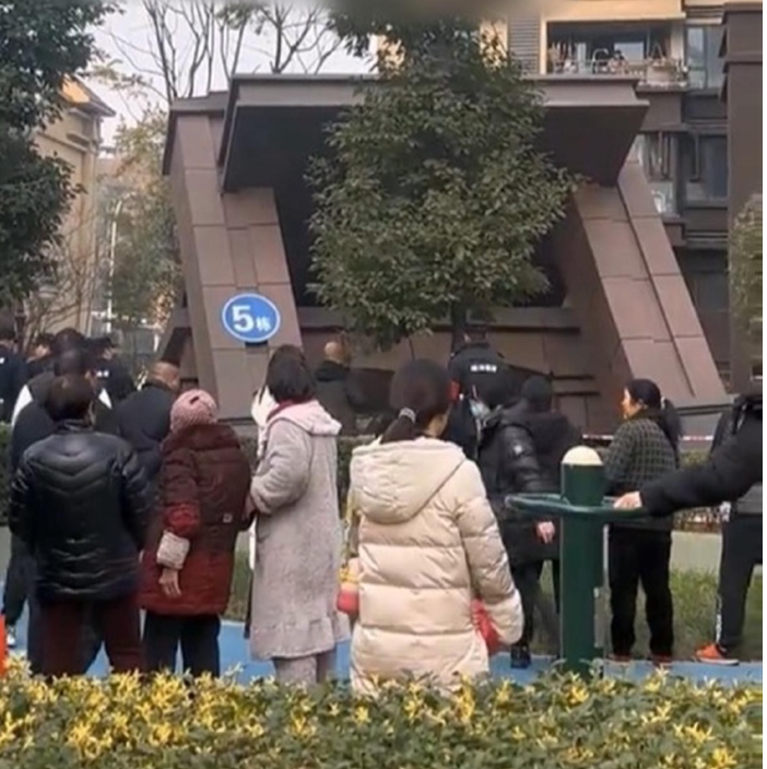 成都荔园悦享花醍小区拆除违建事件