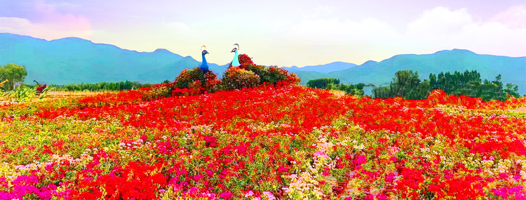 花梨谷文化旅游区.png