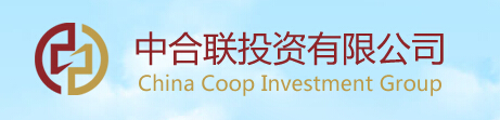 中合联投资有限公司
