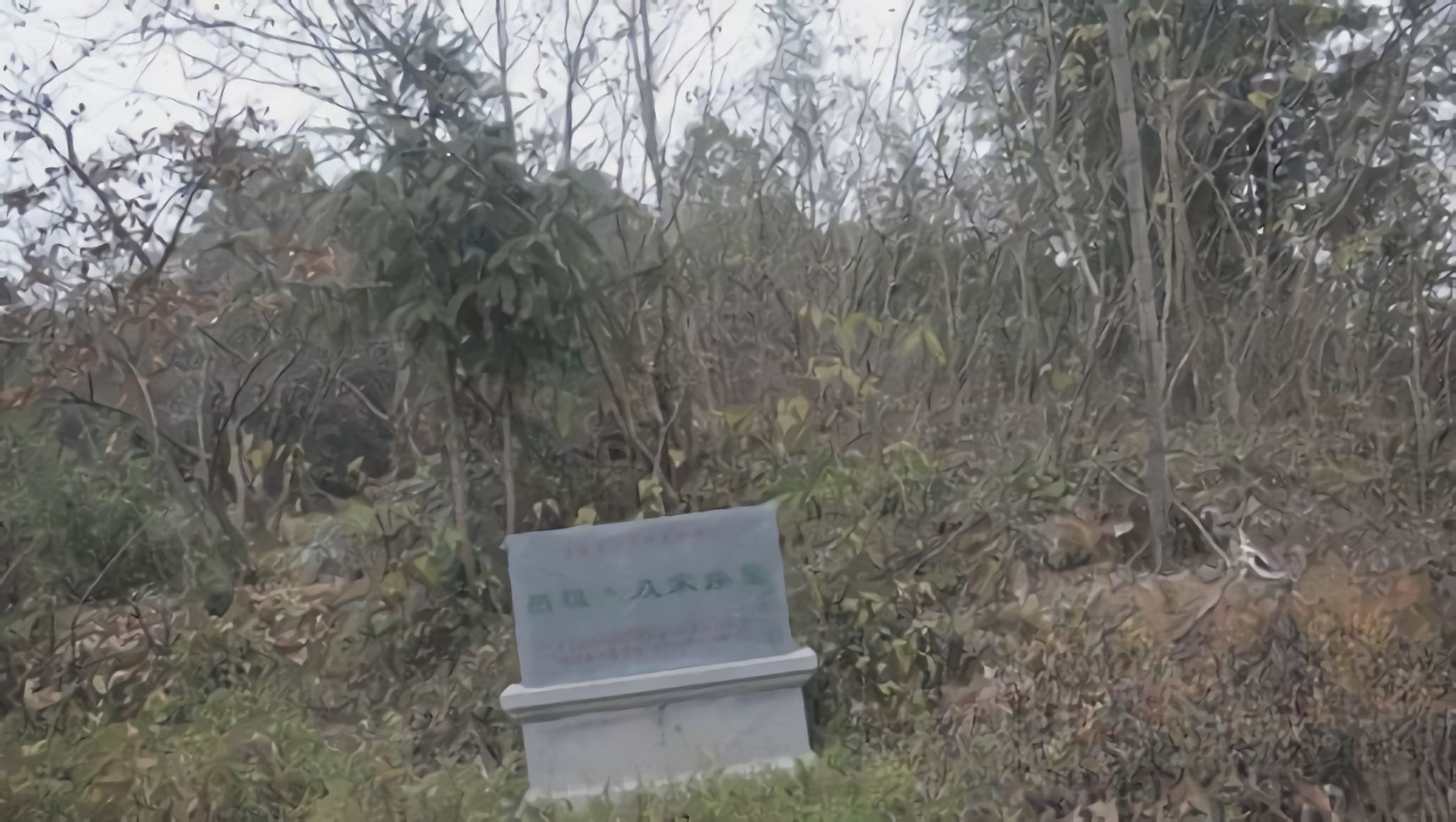 吕祖谦及家族墓