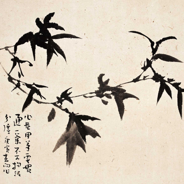 霍春阳
