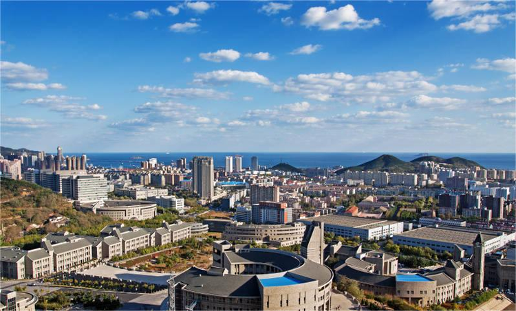大连东软信息学院