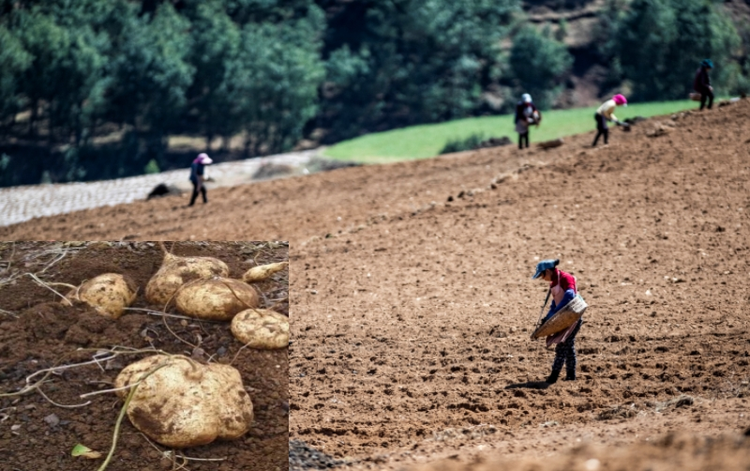 迪庆藏族自治州