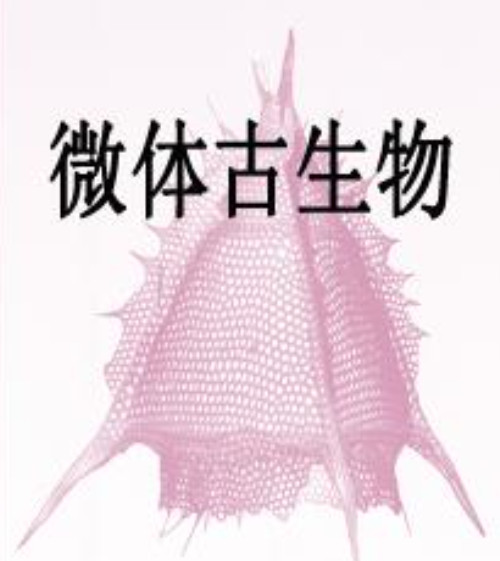 痋婴