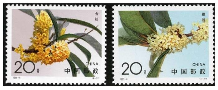 桂花