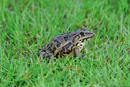 t012cf9c9271c1103ab.png