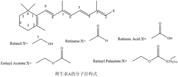 图片1-8188.jpg