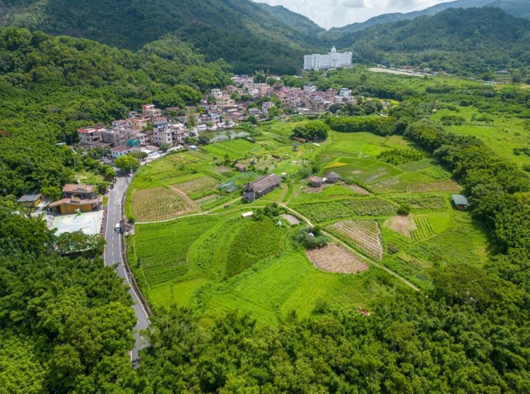 中山市五桂山风景区图片