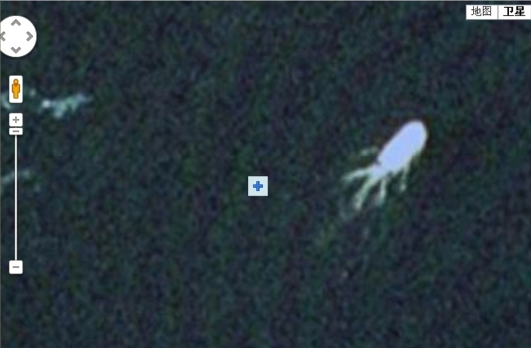 卫星显示的水怪.jpeg