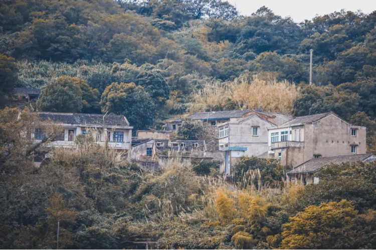 马跳头1.png