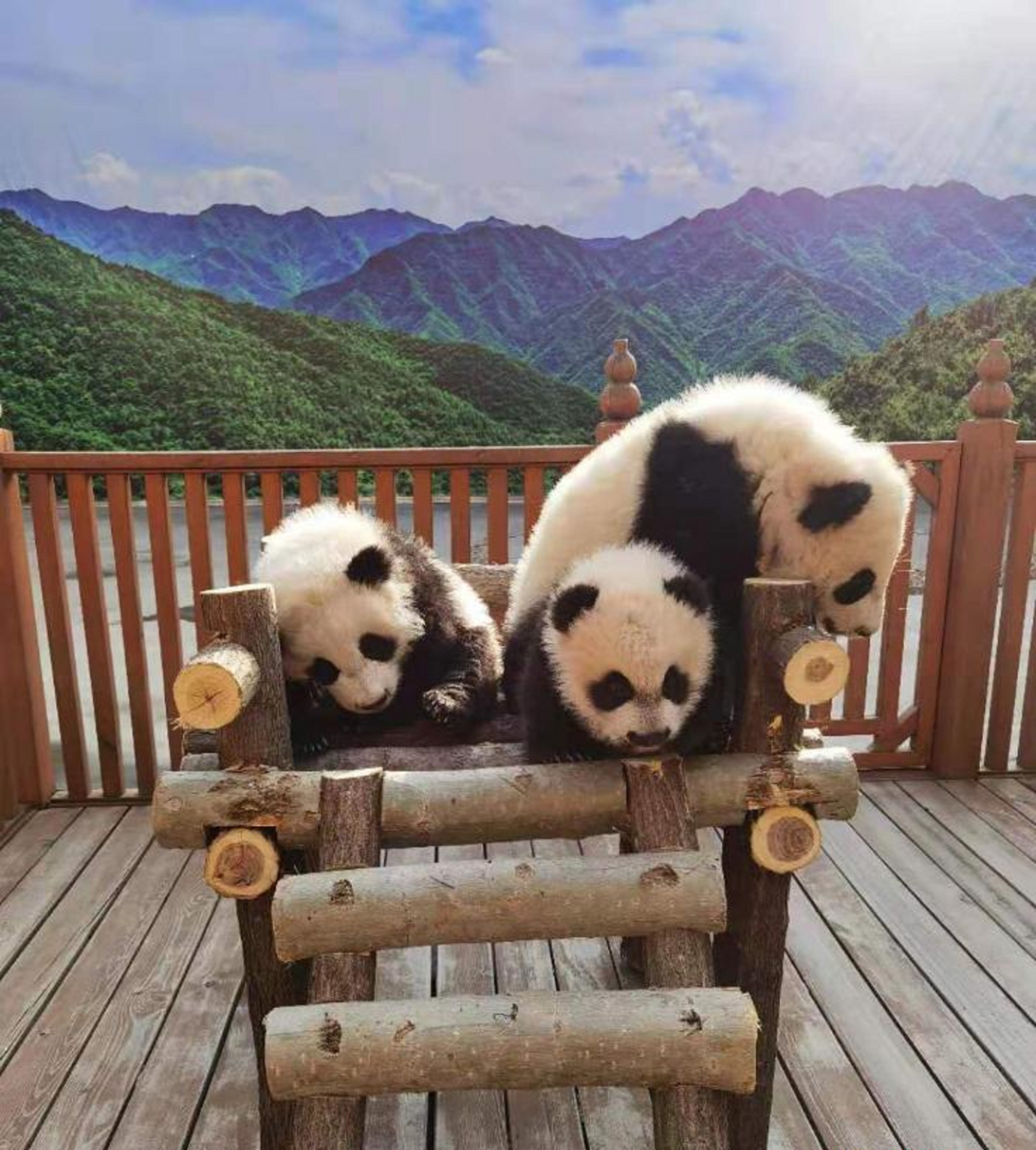 秦华