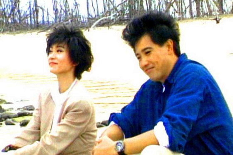 海鸥飞处彩云飞