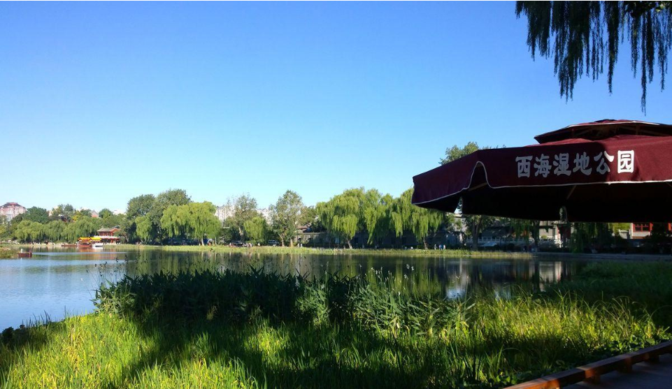 西海湿地公园