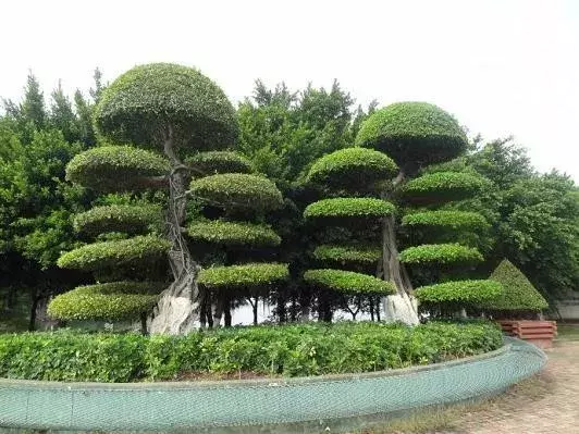 浦北县