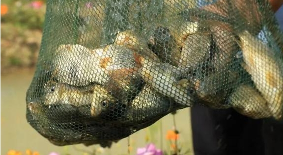 乳源瑶族自治县