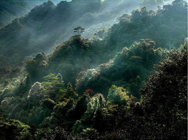 乳源瑶族自治县