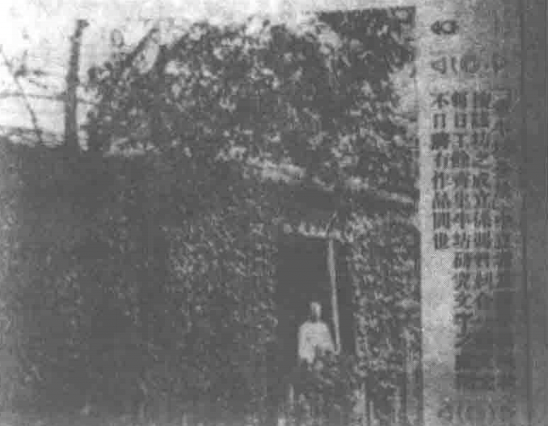 萧红