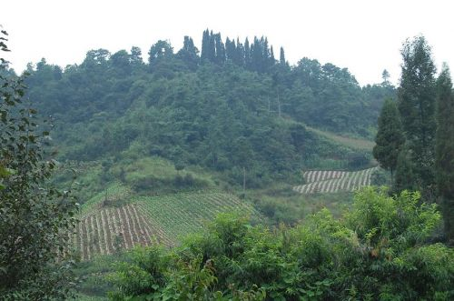 松华乡庄科村