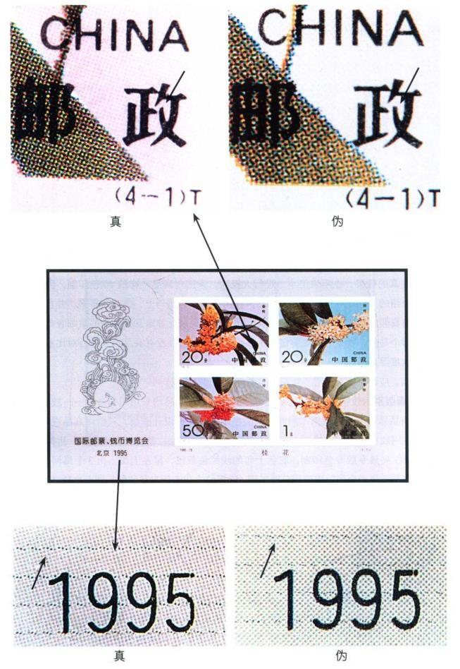 桂花