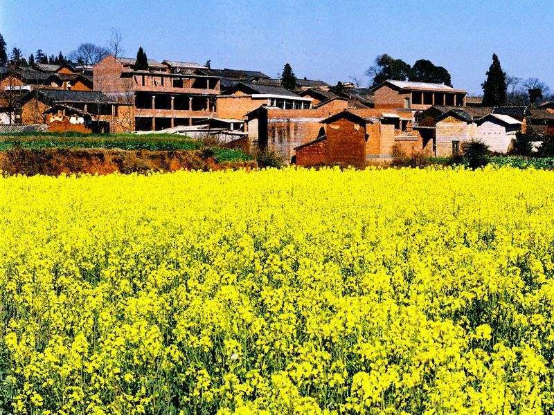 新坝村
