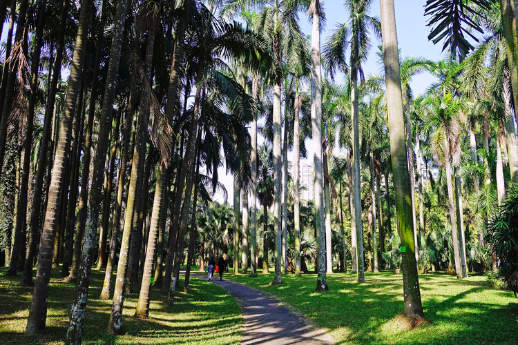 中国科学院华南植物园