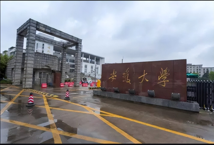 安徽大学校门.jpeg