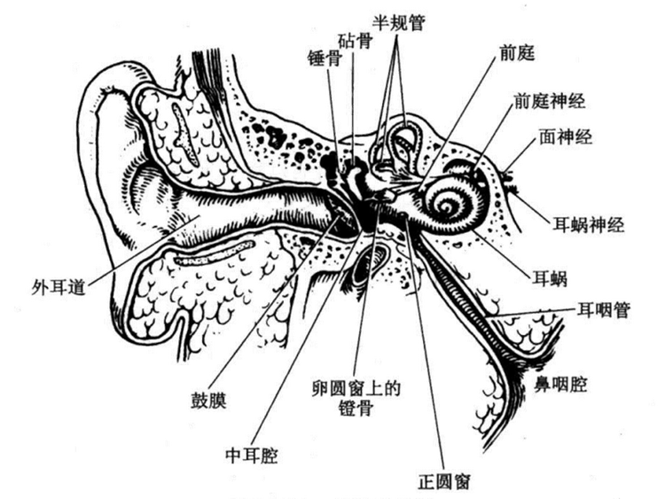 粘贴图片1-1694527282835.png