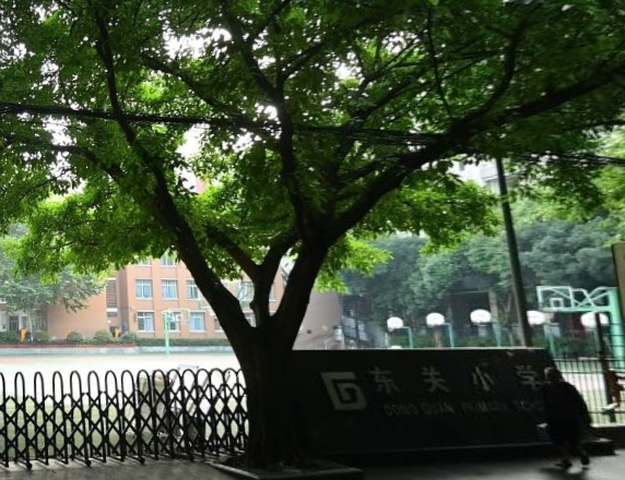 东关小学
