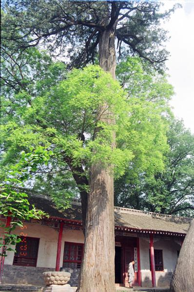 华州区