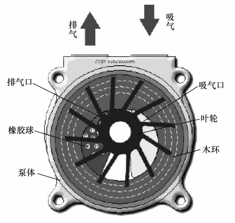 水环真空泵构造图.jpeg