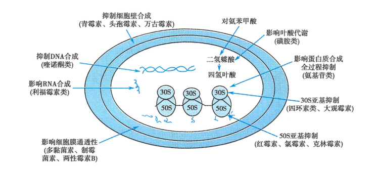 截屏2023-10-21 21.10.png